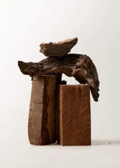 Tenues Basiques -Tenues Basiques 57051171 98 99999999 01